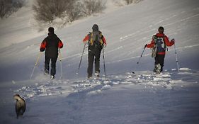 Chalets et gîtes d'Orlu